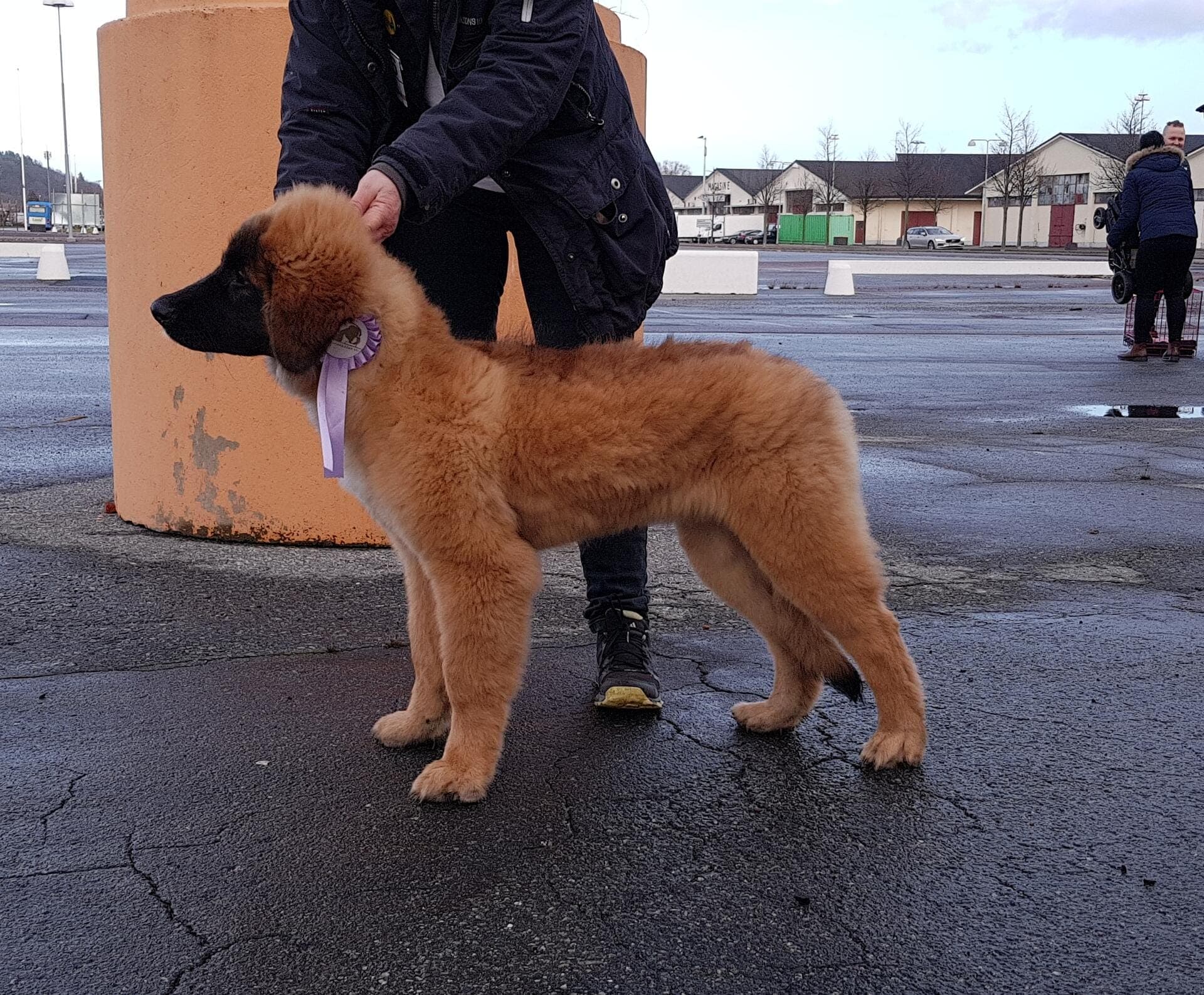 astra